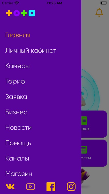 Телесеть