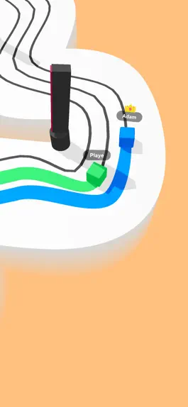 Game screenshot Color Race! apk