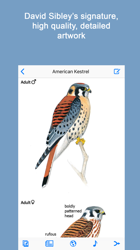 #2. Sibley Birds 2nd Edition (iOS) بواسطة: mydigitalearth.com