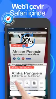 Çeviri - tarayıcı ağ Çevirmen iphone resimleri 1