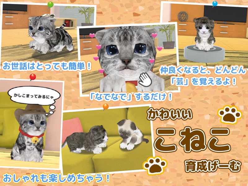 かわいい こねこ育成げーむ screenshot 2