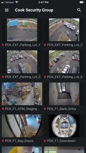 Piko VMS screenshot 2