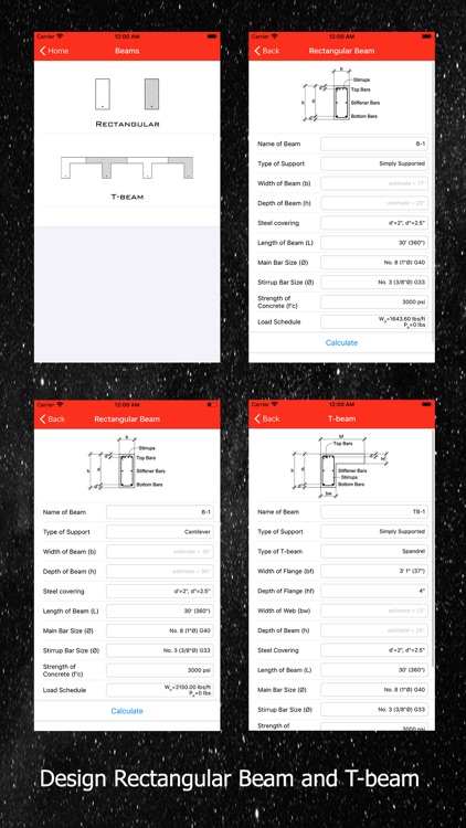 eStructural Design Tao: LRFDus screenshot-3