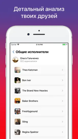 Скриншот Музыкальная совместимость ВК на iPhone 5