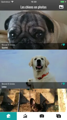 Game screenshot Les chiens en photos mod apk