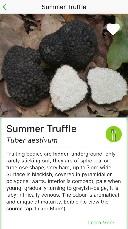 Грибной Атлас