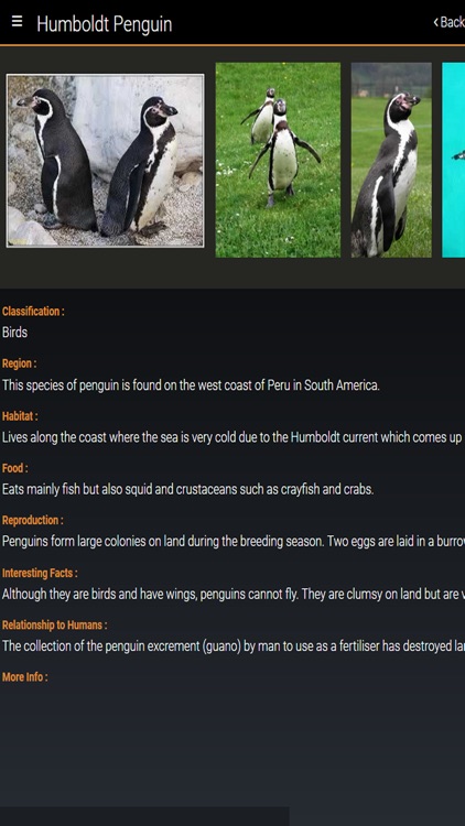 Welsh Mountain Zoo Guide screenshot-3