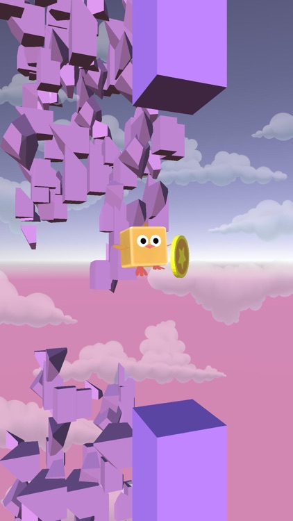 Bird Run - Flying IN The Sky screenshot-0