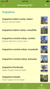 EUCLID Eucalypts of Australia screenshot
