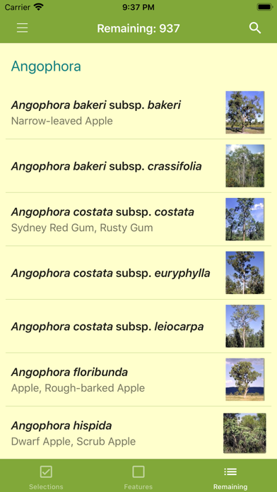 EUCLID Eucalypts of Australia Screenshot