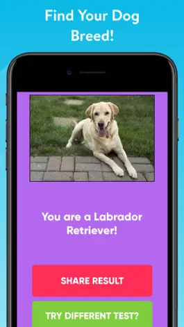 Game screenshot What Type Of Dog Are You? apk