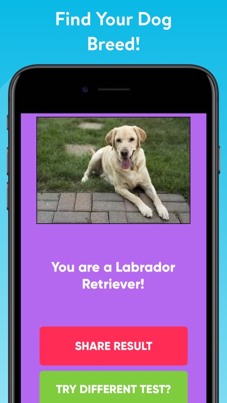 What Type Of Dog Are You? screenshot 2