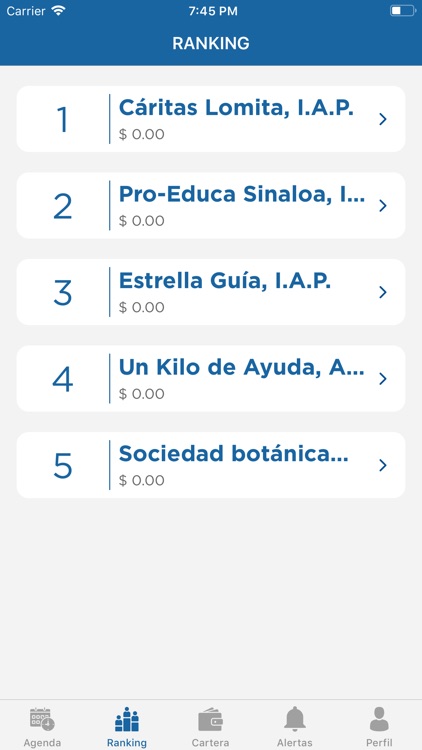 Cumbre de Instituciones screenshot-5