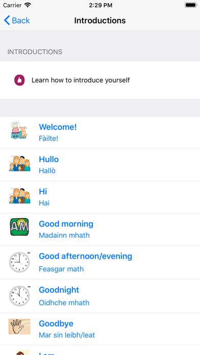 Screenshot #2 pour Go!Gaelic