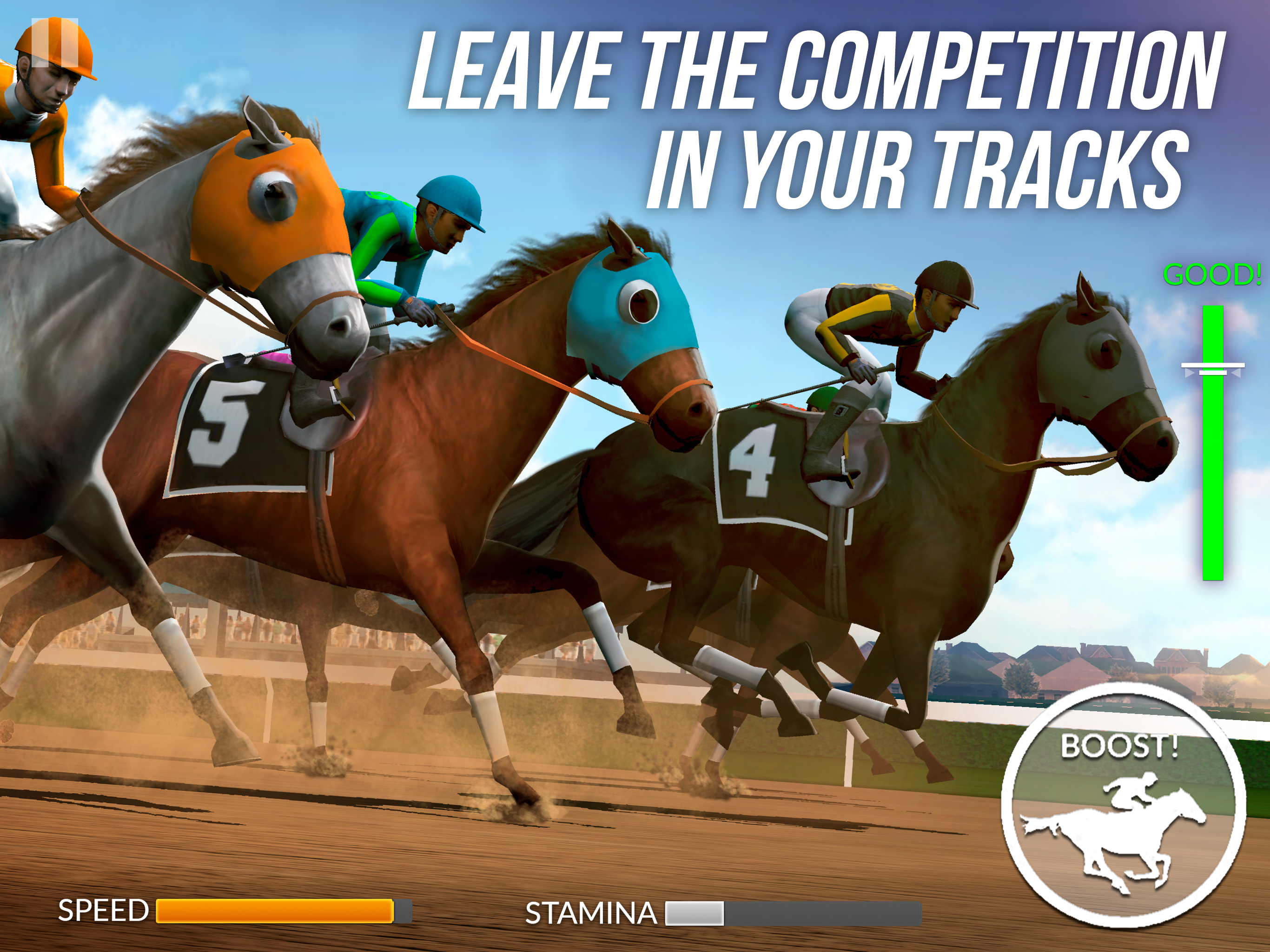 Photo Finish Horse Racing