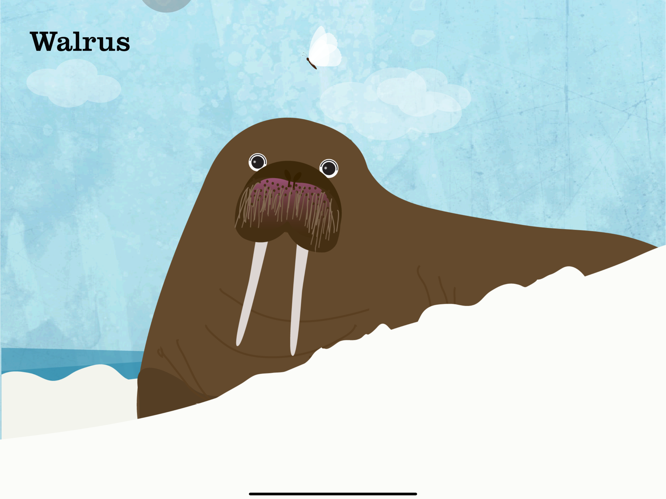Peek-a-Zoo: Peekaboo Kid Games screenshot 11