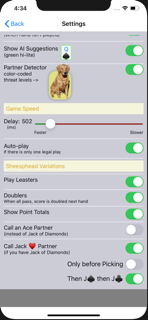 K9 Sheepshead: Schafkopf screenshot 5