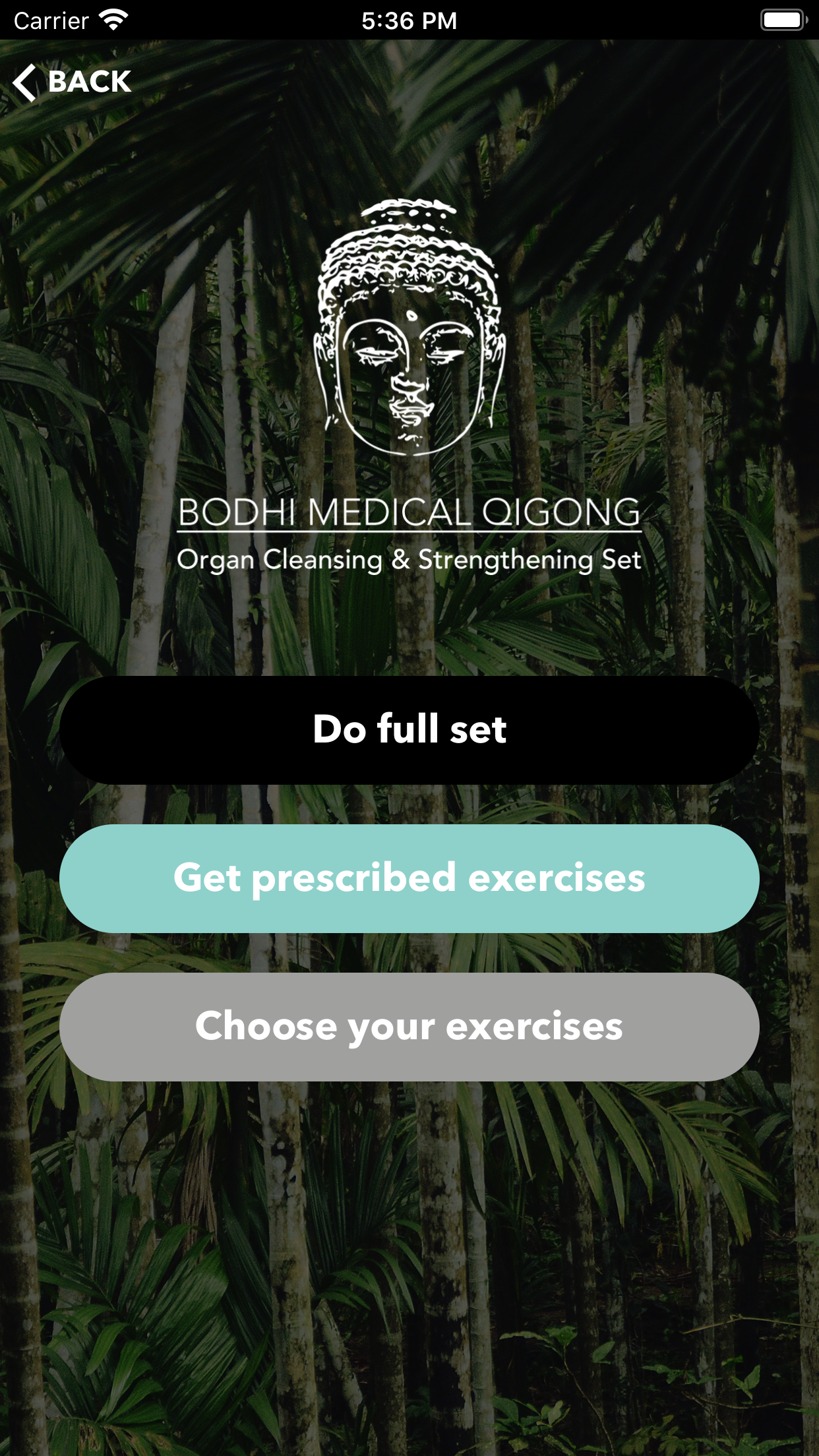 Bodhi Medical Qigong