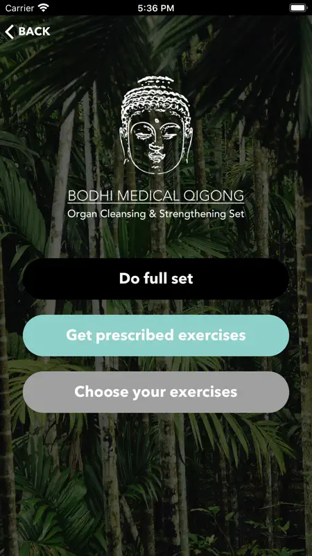 Bodhi Medical Qigong screenshot 1 of 7