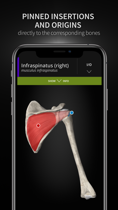 Anatomyka screenshot 3