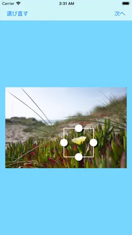 Game screenshot 裁断くん mod apk