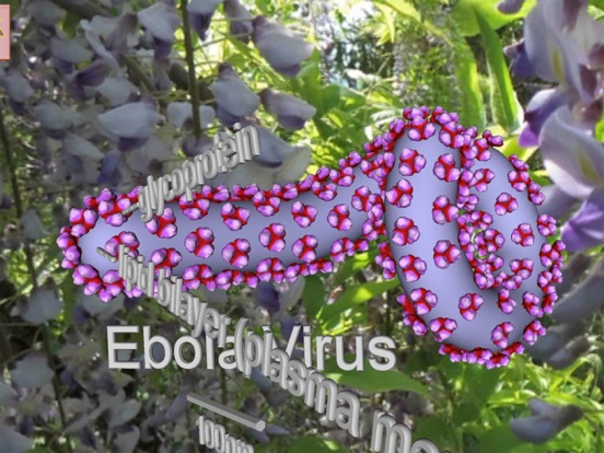 Bio Virus Structure in 3D iPad screenshot