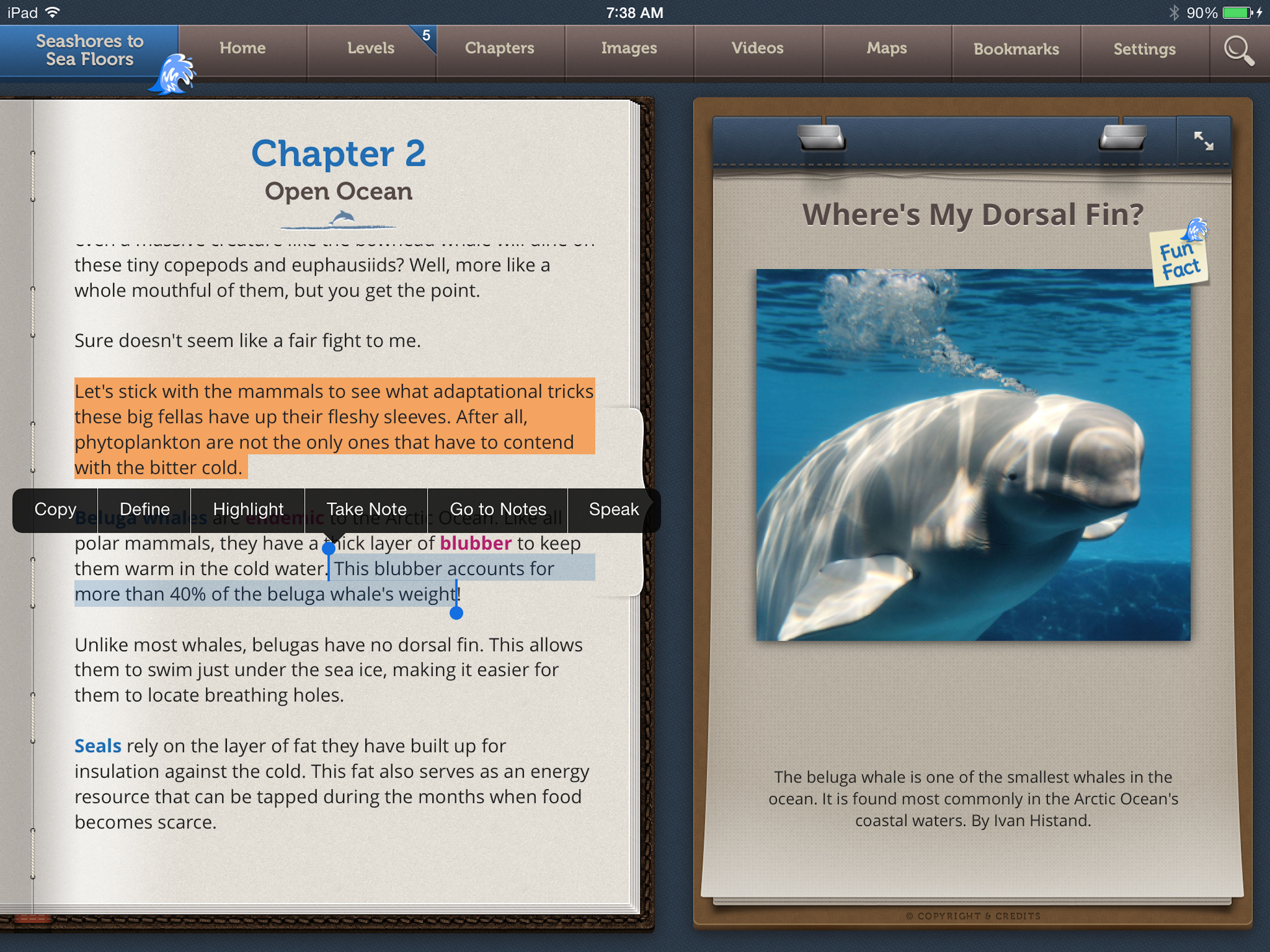Seashores to Sea Floors screenshot 8