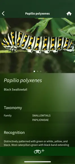 Game screenshot Caterpillar Id USA East Coast apk