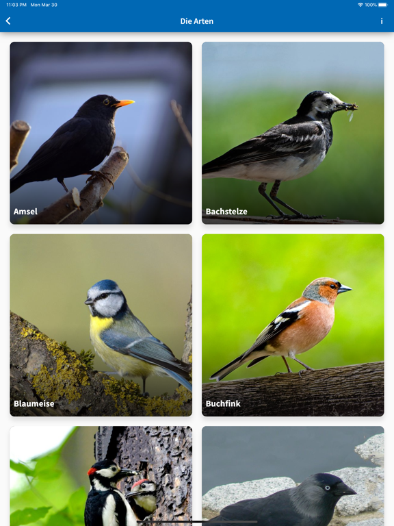 40Gartenvögel app screenshot 3