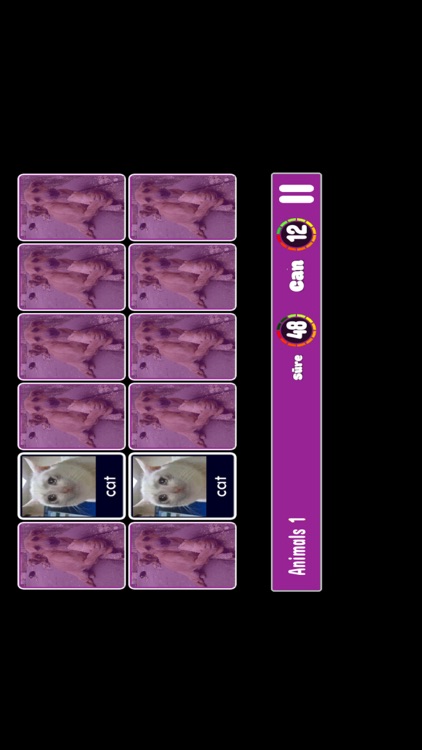 İngilizce Kelime Öğren