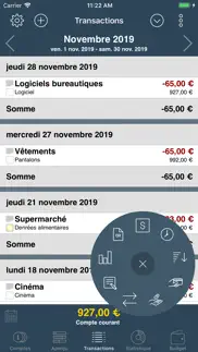mon livre de budget iPhone Captures Décran 3