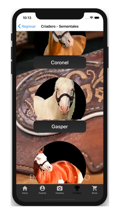 Encuentro Charro screenshot-3