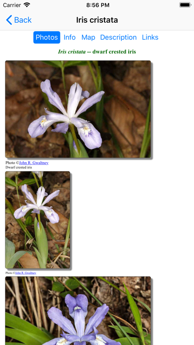 Kentucky Wildflowers Screenshot