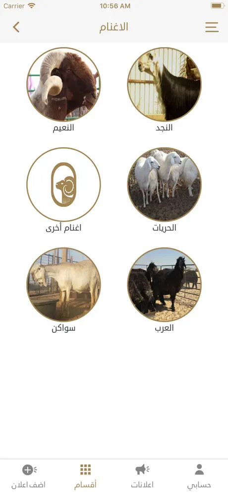 حلال الخليج