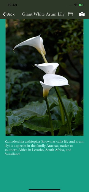 Flower Almanac(圖4)-速報App