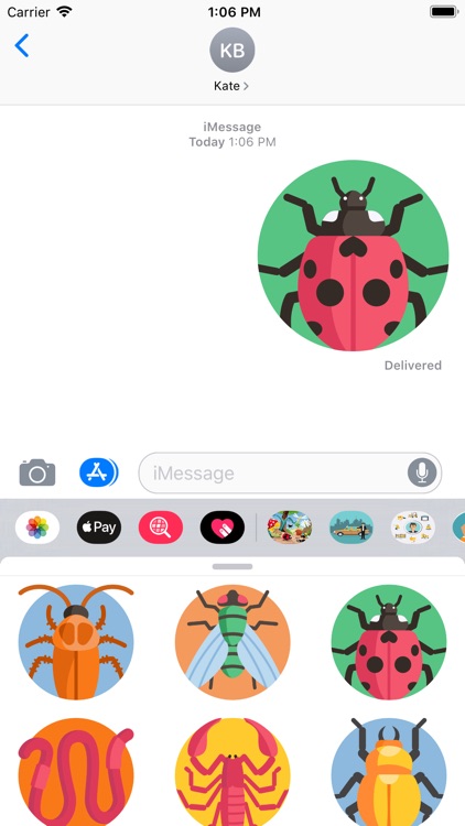 InsectsMS