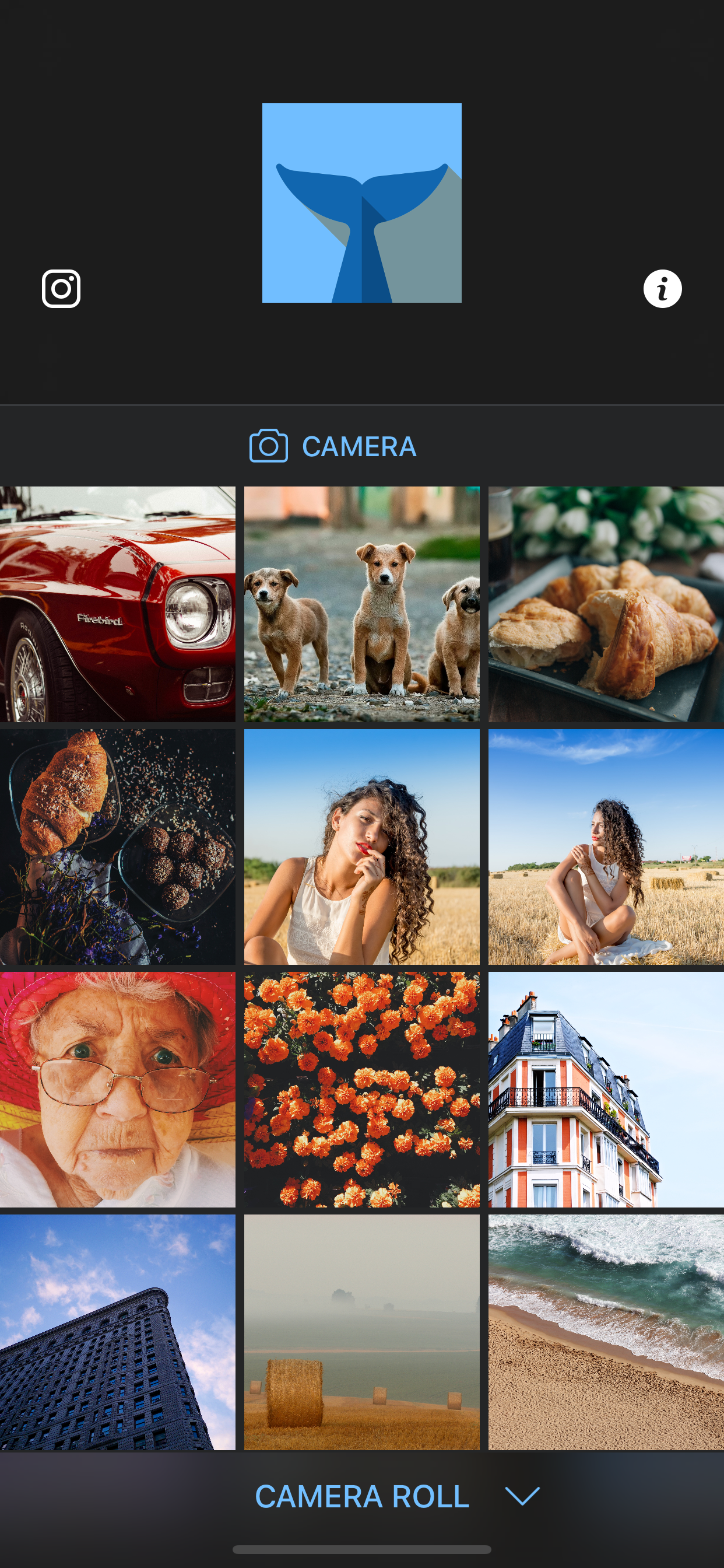 Flipper - Mirror Image Editor