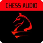 Chess Audio App Contact