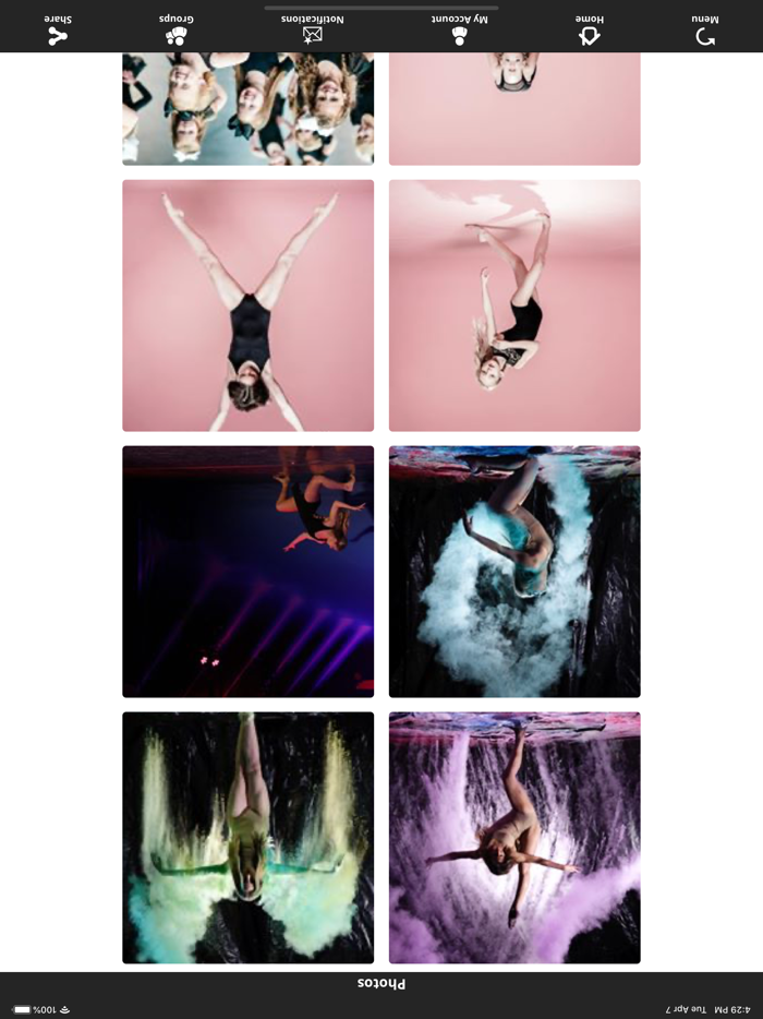 The Movement Dance Academy