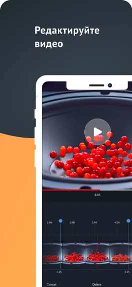 Game screenshot Камера с паузой apk