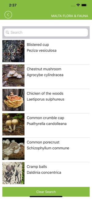Malta Flora & Fauna(圖3)-速報App