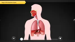 Game screenshot Human Anatomy for iPhone apk