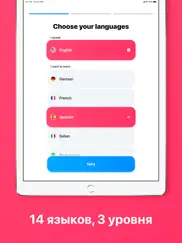 itranslate lingo айпад изображения 2