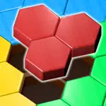 Block Hexa Puzzle: Wooden Game App Positive Reviews