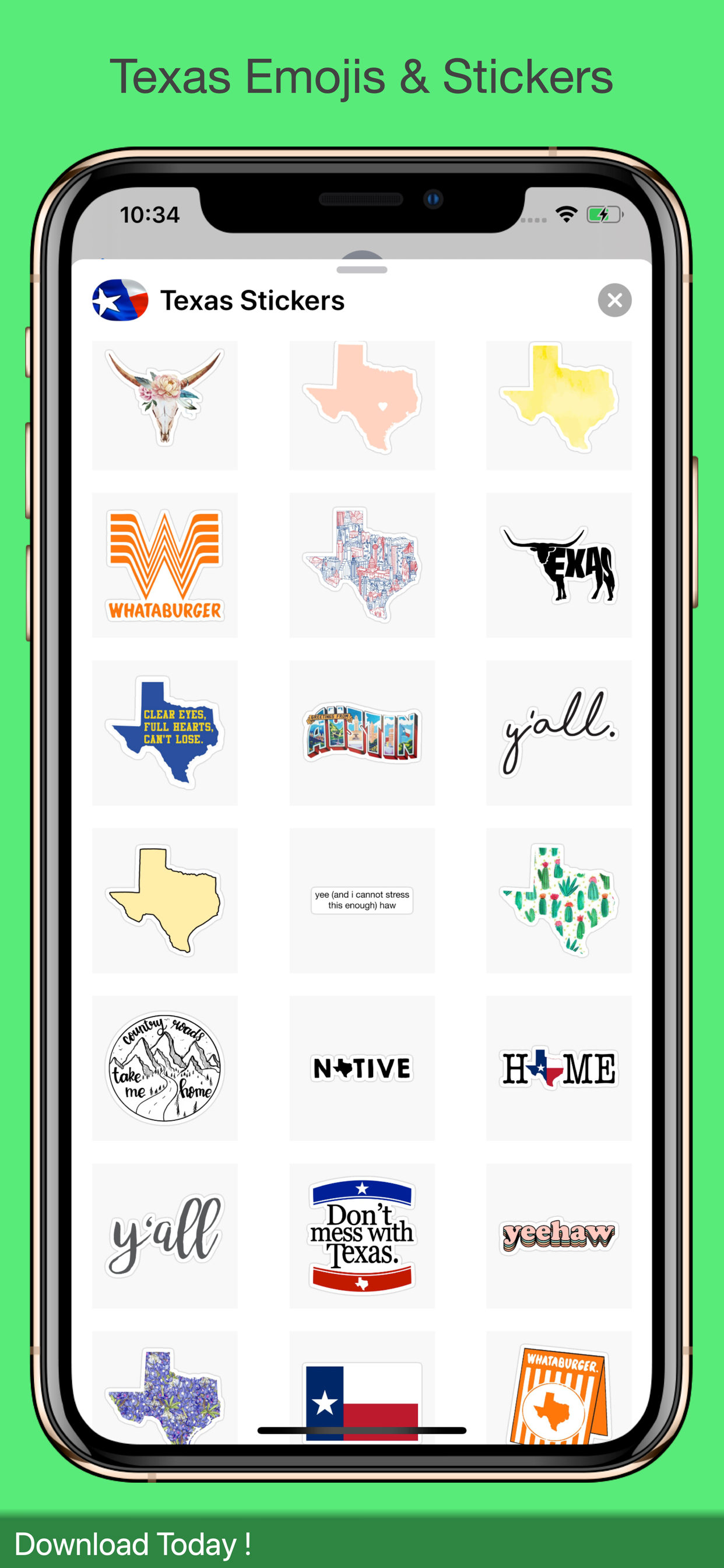 Texas Sticker