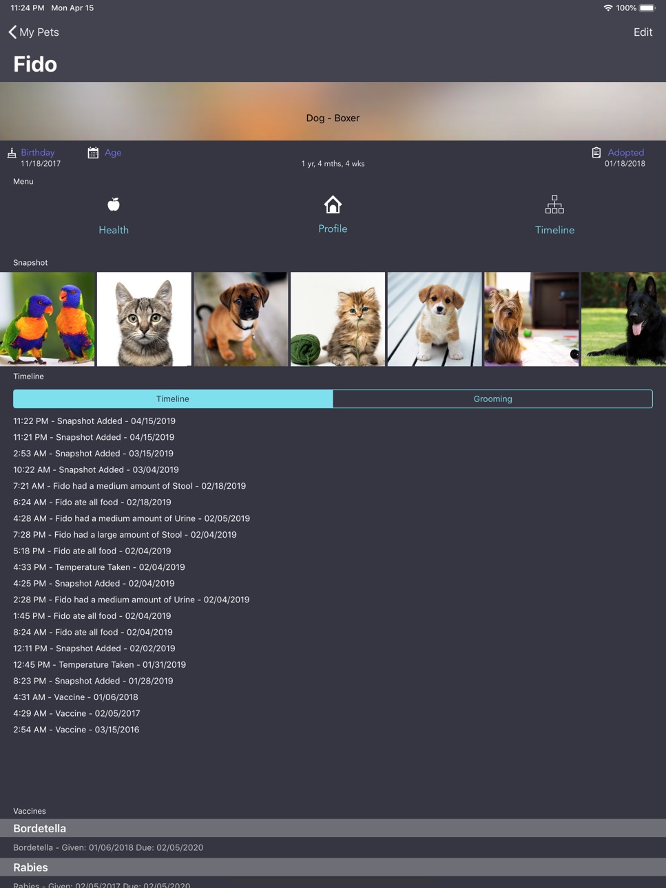 iPad screenshot