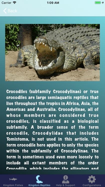 Life Underwater screenshot-9