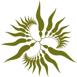 Sargazo app icon