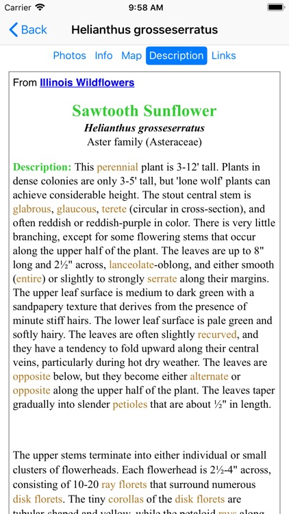 Wisconsin Wildflowers screenshot-6