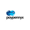 Paypennyx icon